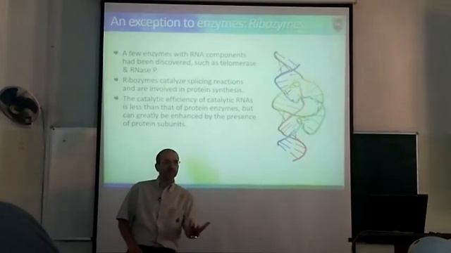 Biochemistry lectures |Enzymes part 6 смотреть онлайн