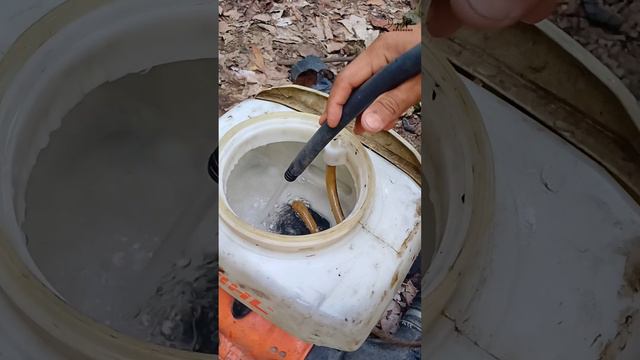 Biostimulante Para La Floración #agricultores #cacao #viralvideos