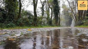 Рассказ мужчины | Измена жены. Застал жену в расплох