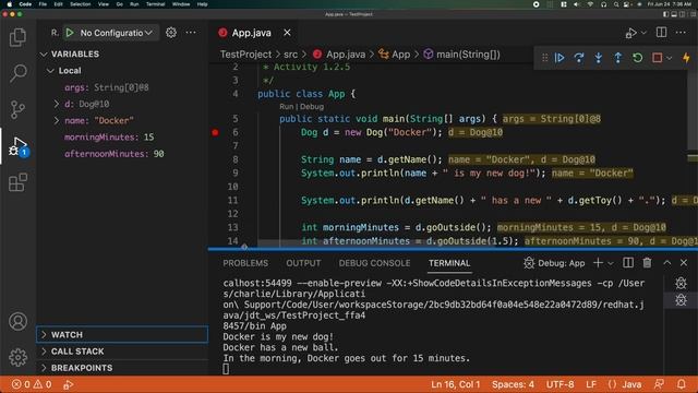 Setting up Visual Studio Code for Java смотреть онлайн