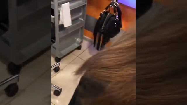 OLA - сеть салонов красоты №1 Окрашивание балаяж. Топ-стилист О.Стульник смотреть онлайн