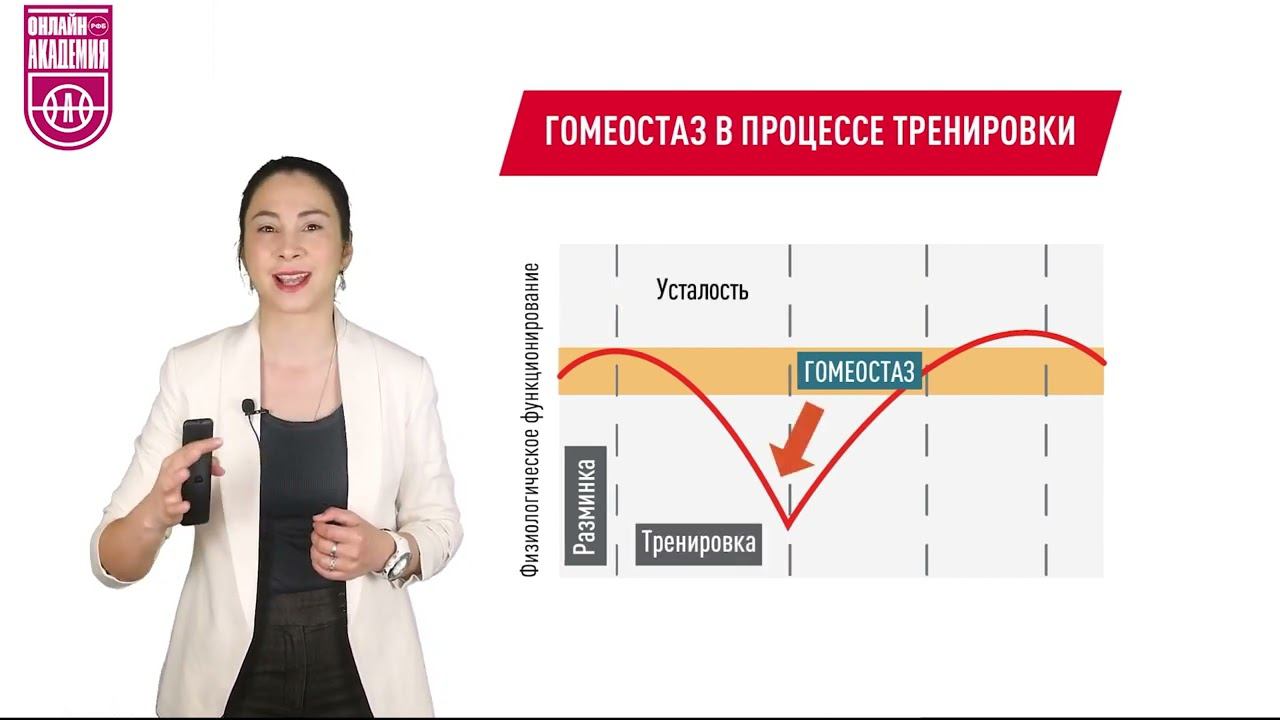 Тренировочный стимул. Урок 1. Основные определения смотреть онлайн