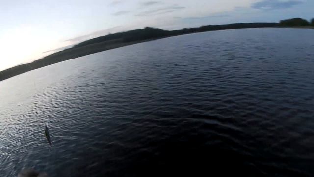 Шнурки атакуют Pontoon 21 Cablista 125SP-SMR