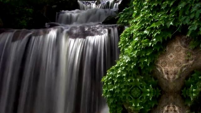 Тренинг внутренний огонь смотреть онлайн