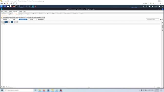 Lab: Manipulating the WebSocket handshake to exploit vulnerabilities смотреть онлайн