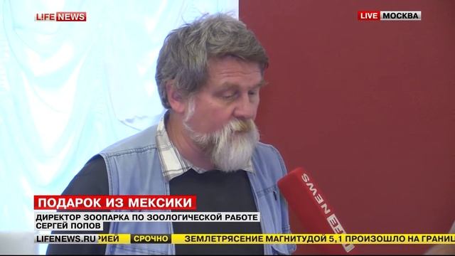 Прямое включение. Как спасли черепах от контрабандиста.