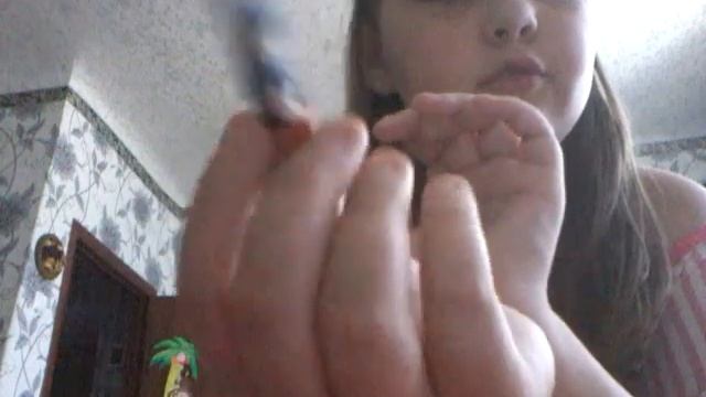 Моя коллекция пластилиновых поделок