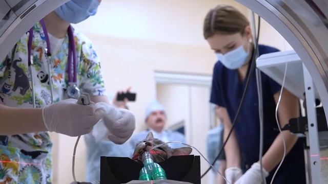 Открытие базовой ветеринарной клиники кафедры «Биология и общая патология» смотреть онлайн