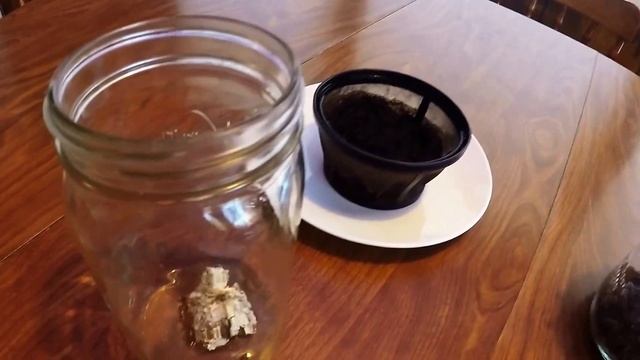 Mycelium Cultivation at Home - How to Pt 1 смотреть онлайн