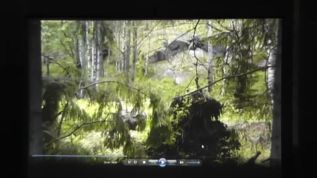 По малоизвестным достопримечательностям Ленинградской области. "Загадочные камни". Ч. 7. смотреть онлайн