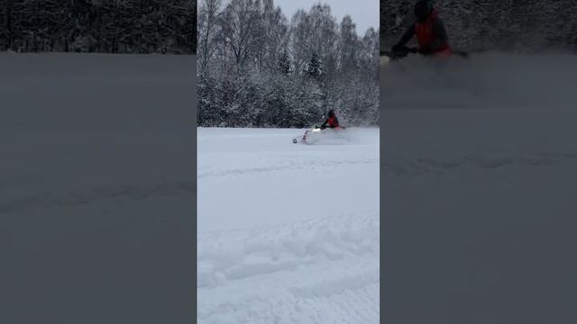 Снегоход рм Вектор