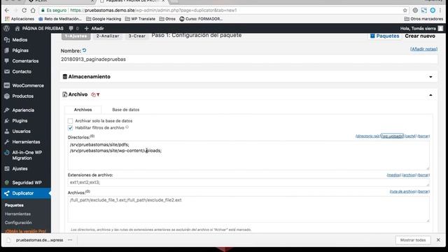 Copia de seguridad de WordPress con Duplicator смотреть онлайн