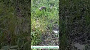 Солотча Июнь 2021. Санаторий Старица полный обзор!