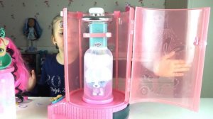 Куклы-собачки I LOVE VIP PETS ? Surprise Hair Reveal Doll Игровой Набор «IMC Toys» Модные Щенки