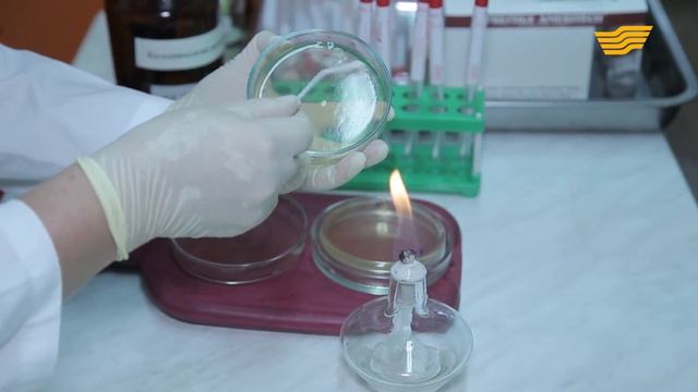 «Спасаем жизни». Менингит