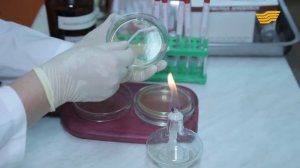 «Спасаем жизни». Менингит