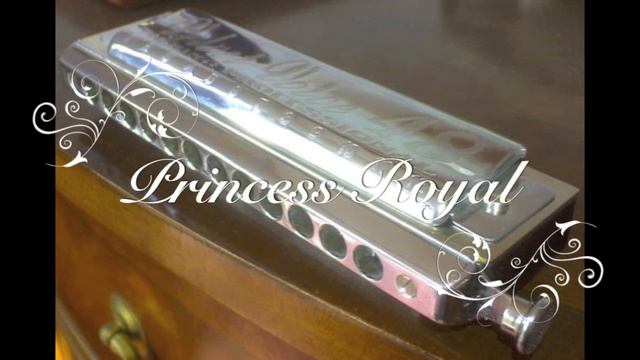 Princess Royal by Turlough O'Carolan played on chromatic harmonica by Tony Bomber Aked смотреть онлайн