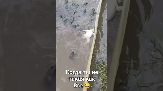 не такая как все смотреть онлайн
