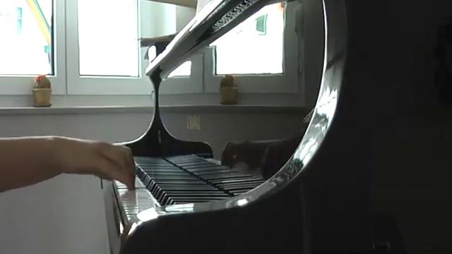 La Valse d'Amelie - Piano Cover смотреть онлайн
