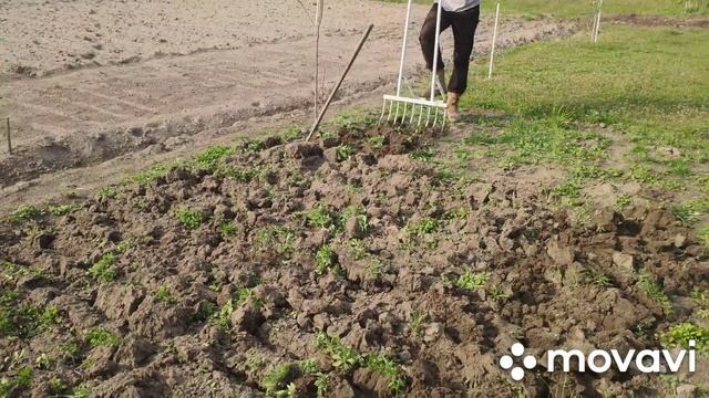 Обзор "ЧУДО-ЛОПАТЫ" смотреть онлайн