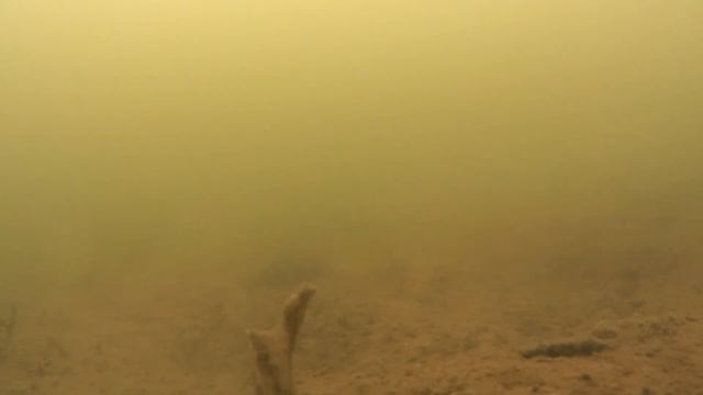 Рыбалка по первому льду 2018 смотреть онлайн