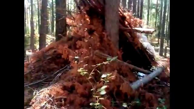 28 08 16 смотреть онлайн