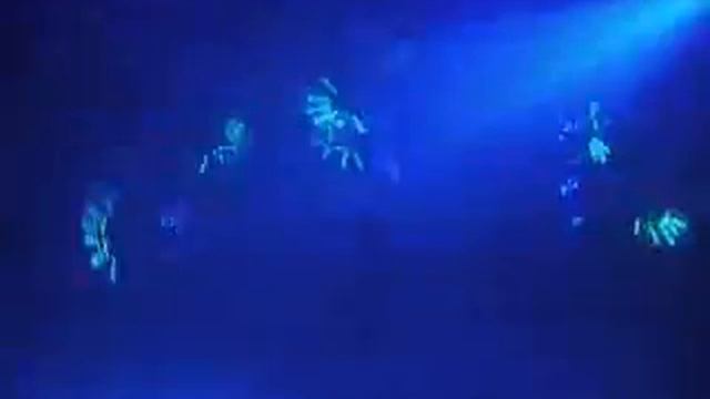 светодиодное шоу.avi