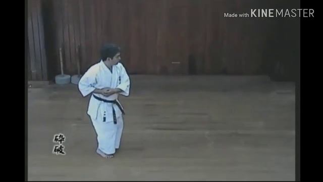 КАТА САЙФА ГОДЗЮ - РЮ КАРАТЭ смотреть онлайн