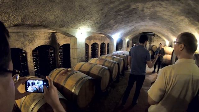 Замки и вина долины Луары ч.1 - путешествие во Францию смотреть онлайн