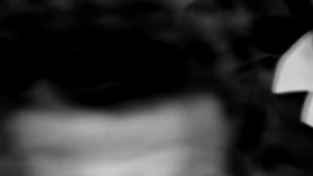 Арабо - израильский конфликт. Причины и факторы, итоги войны.... В каком состоянии конфликт?!