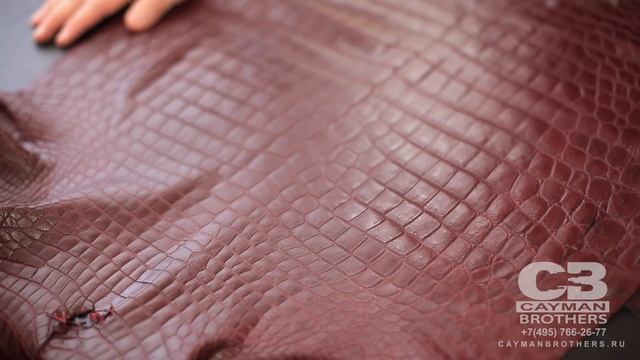 ВидеоОбзор#14 Одежная кожа крокодила светло-винного цвета смотреть онлайн