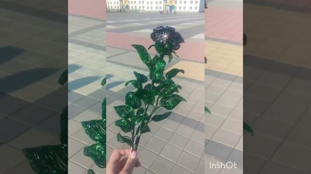 Бокаловидная роза "Арабская ночь" смотреть онлайн