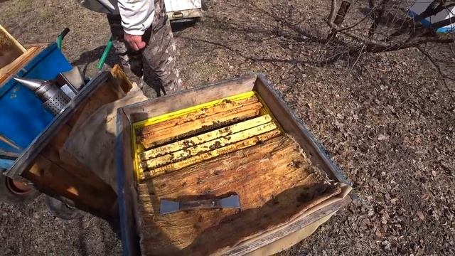 ДВУХМАТОЧНЫЕ СЕМЬИ! РЕВИЗИЯ! Что с ними делать дальше???