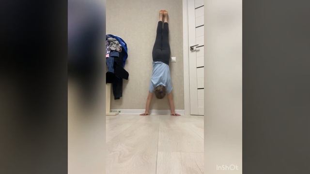 Обучение стойки на руках?#спорт #стойка #обучение #люблюспорт #гимнастика #динамо #динамомосква смотреть онлайн