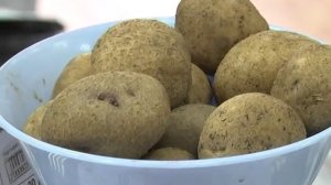 Самые вкусные и урожайные сорта картофеля!