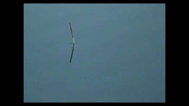 поклёвка линя смотреть онлайн