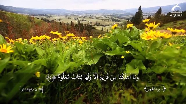 #коран #аятыкорана #quran #красивые #голос #islamic #ислам #россия смотреть онлайн