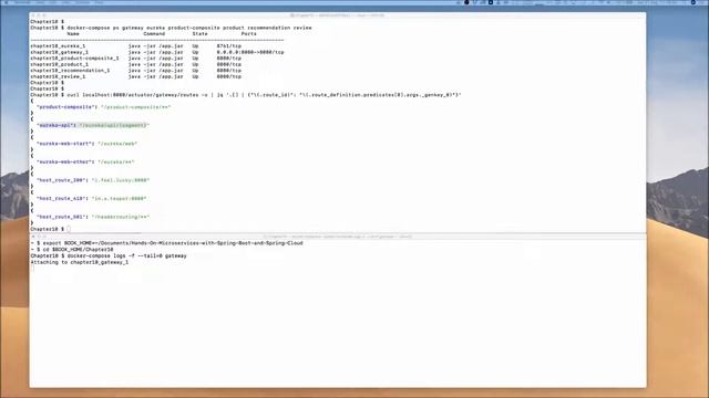 10. Using Spring Cloud Gateway to Hide Microservices Behind an Edge Server смотреть онлайн