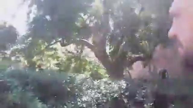 3 день в Барселоне, Испания. Зоопарк. смотреть онлайн