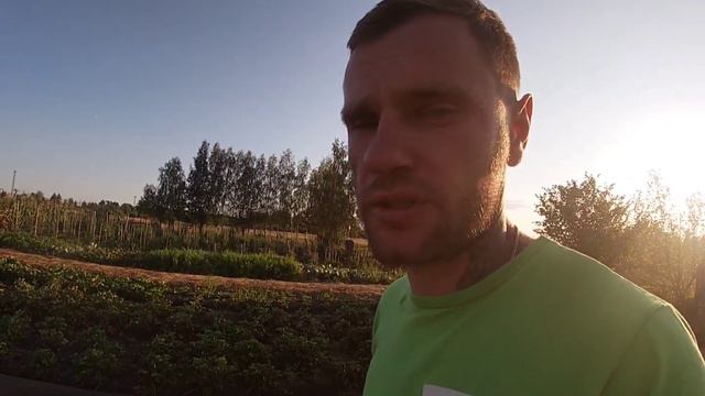 КОЛИ Ж ЇЇ САДИТИ?/Правильна ПОРА для висадки полуниці НА ЯГОДУ смотреть онлайн