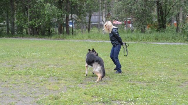 ВЕРНЫЙ ДРУГ ЛЕОН (разминка перед тренировкой по защите) смотреть онлайн