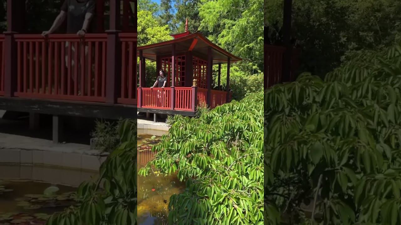 Сочи… Лето… смотреть онлайн