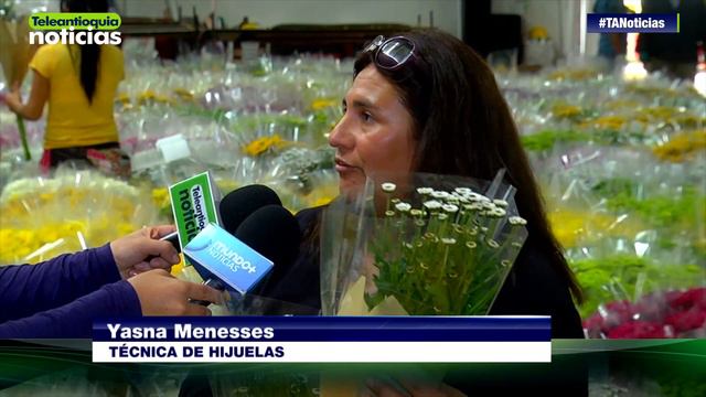 Empresarios chilenos visitan cultivos de flores en La Ceja смотреть онлайн