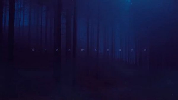 Tilekid - you not the same