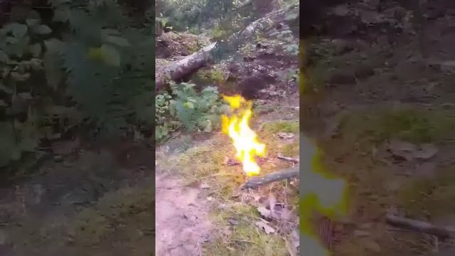 поджигаем порох смотреть онлайн