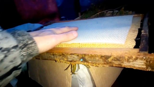 Матрица для вощины своими руками. Как вам такой метод? смотреть онлайн