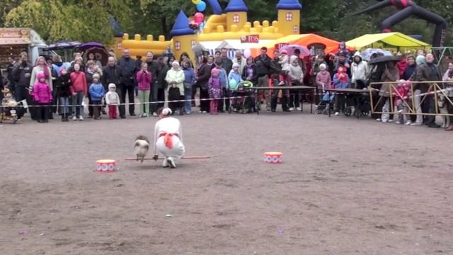 Планета Друзей. СПб, 15.09.12г. Танец. v46 смотреть онлайн