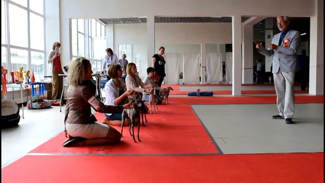 бкс левретки 11.06.17 смотреть онлайн