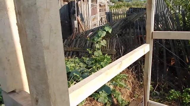 Строительство туалета своими руками смотреть онлайн