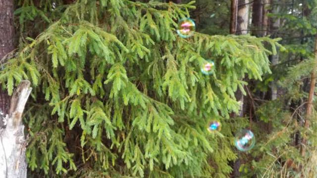 Уральская природа смотреть онлайн